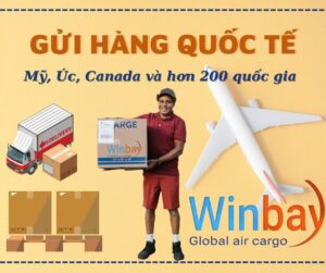 Gửi hàng đi UAE tại TP HCM - Winbay Express
